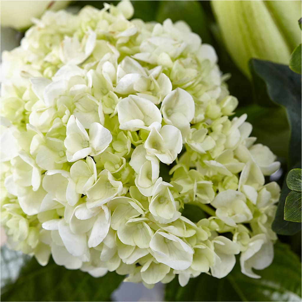 Classic Ivory – A Florist Original – NEIL'S FLOWERS AND GREENHOUSES, Kingston ON