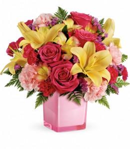 Hello – NEIL'S FLOWERS AND GREENHOUSES, Kingston ON