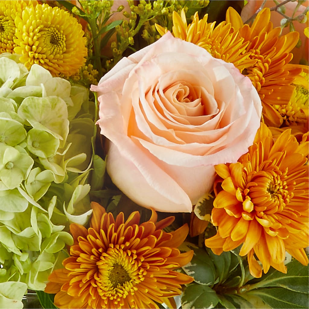 Fall Foliage Bouquet – NEIL'S FLOWERS AND GREENHOUSES, Kingston ON