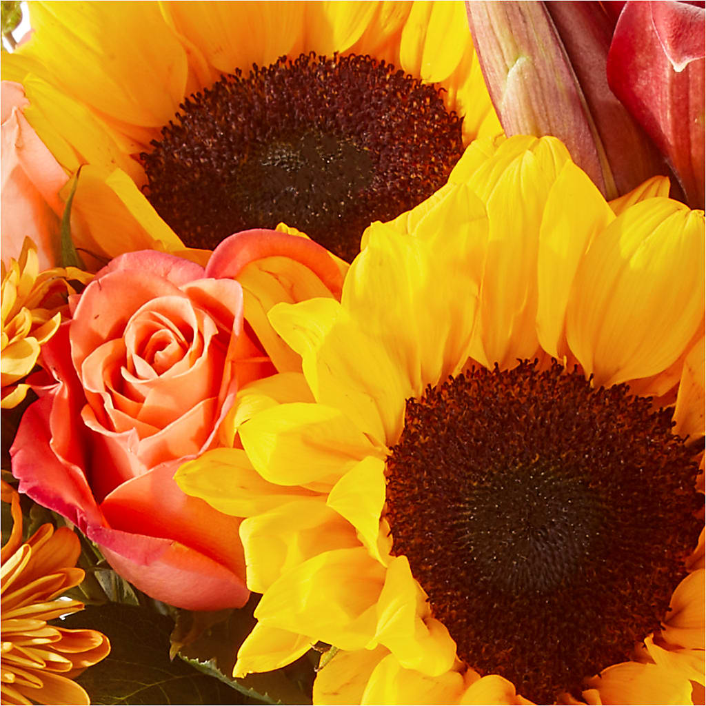 Acorn Lane Bouquet – NEIL'S FLOWERS AND GREENHOUSES, Kingston ON