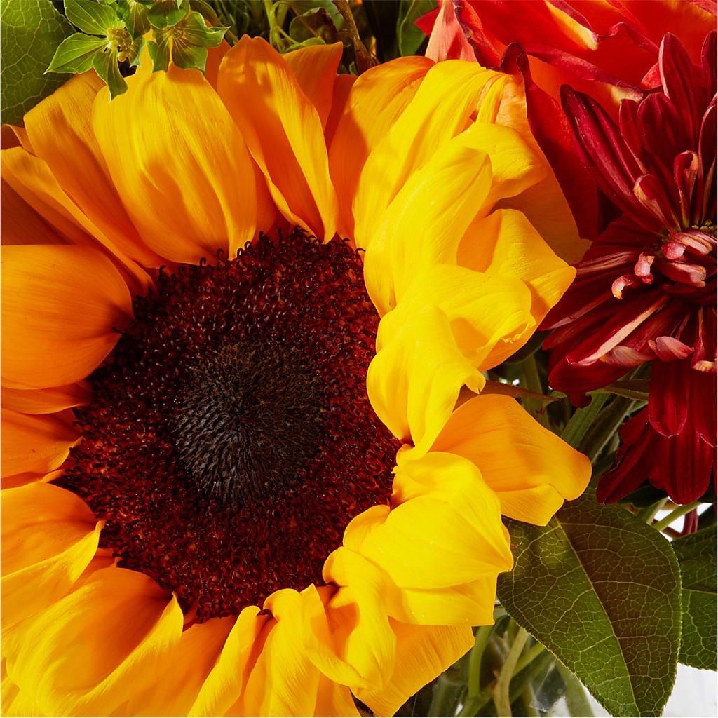 Harvest Festival Bouquet – NEIL'S FLOWERS AND GREENHOUSES, Kingston ON