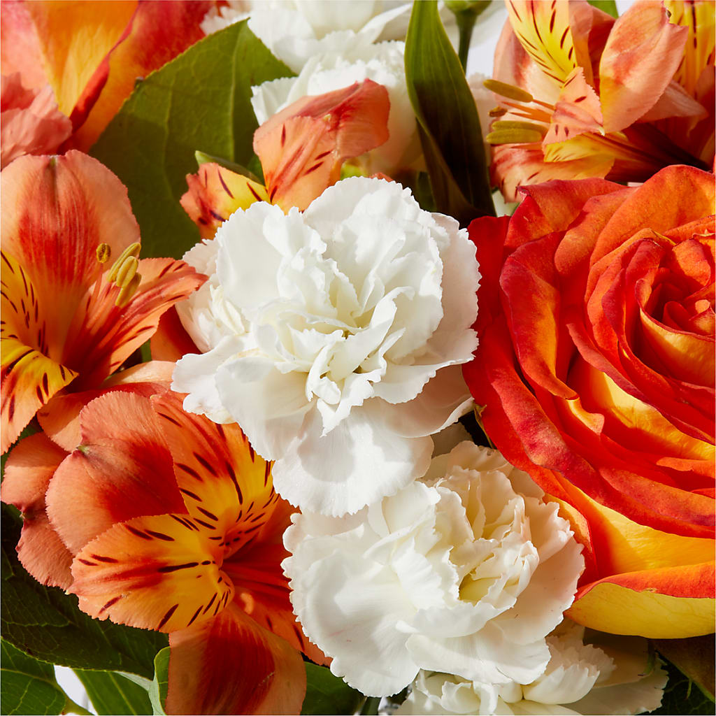 Apricot Glow Bouquet – NEIL'S FLOWERS AND GREENHOUSES, Kingston ON