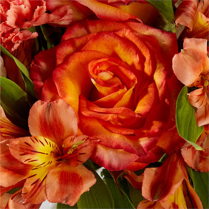 Apricot Glow Bouquet – NEIL'S FLOWERS AND GREENHOUSES, Kingston ON