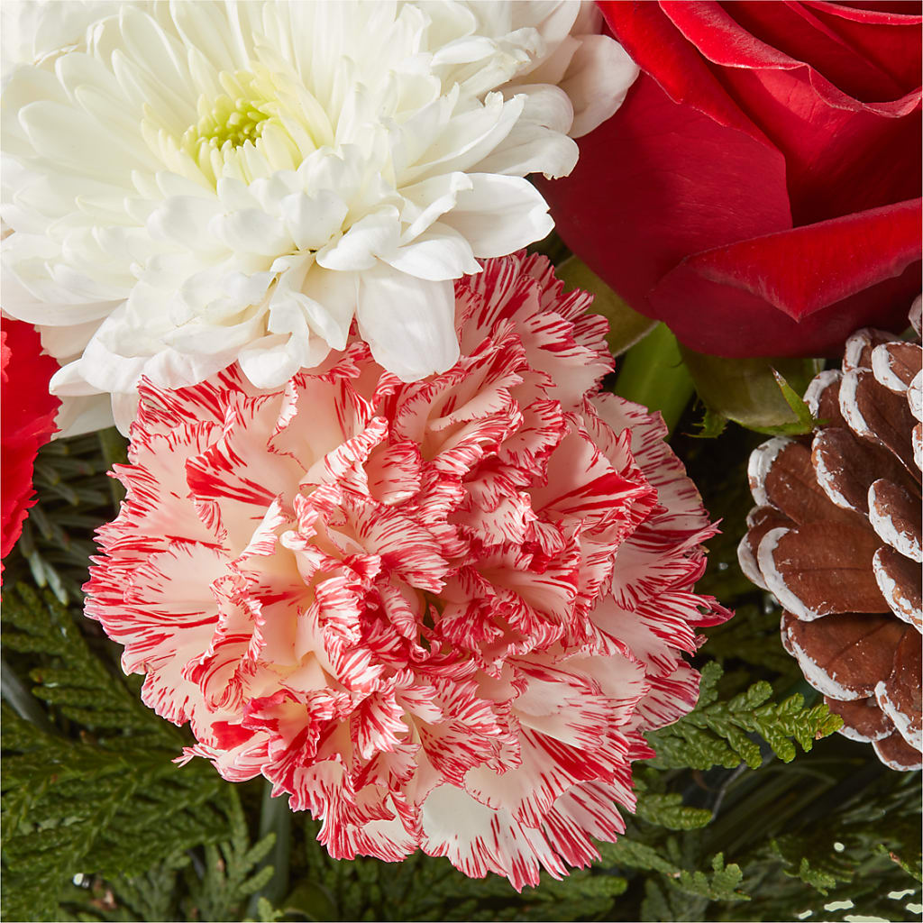 Candy Cane Lane Bouquet – NEIL'S FLOWERS AND GREENHOUSES, Kingston ON