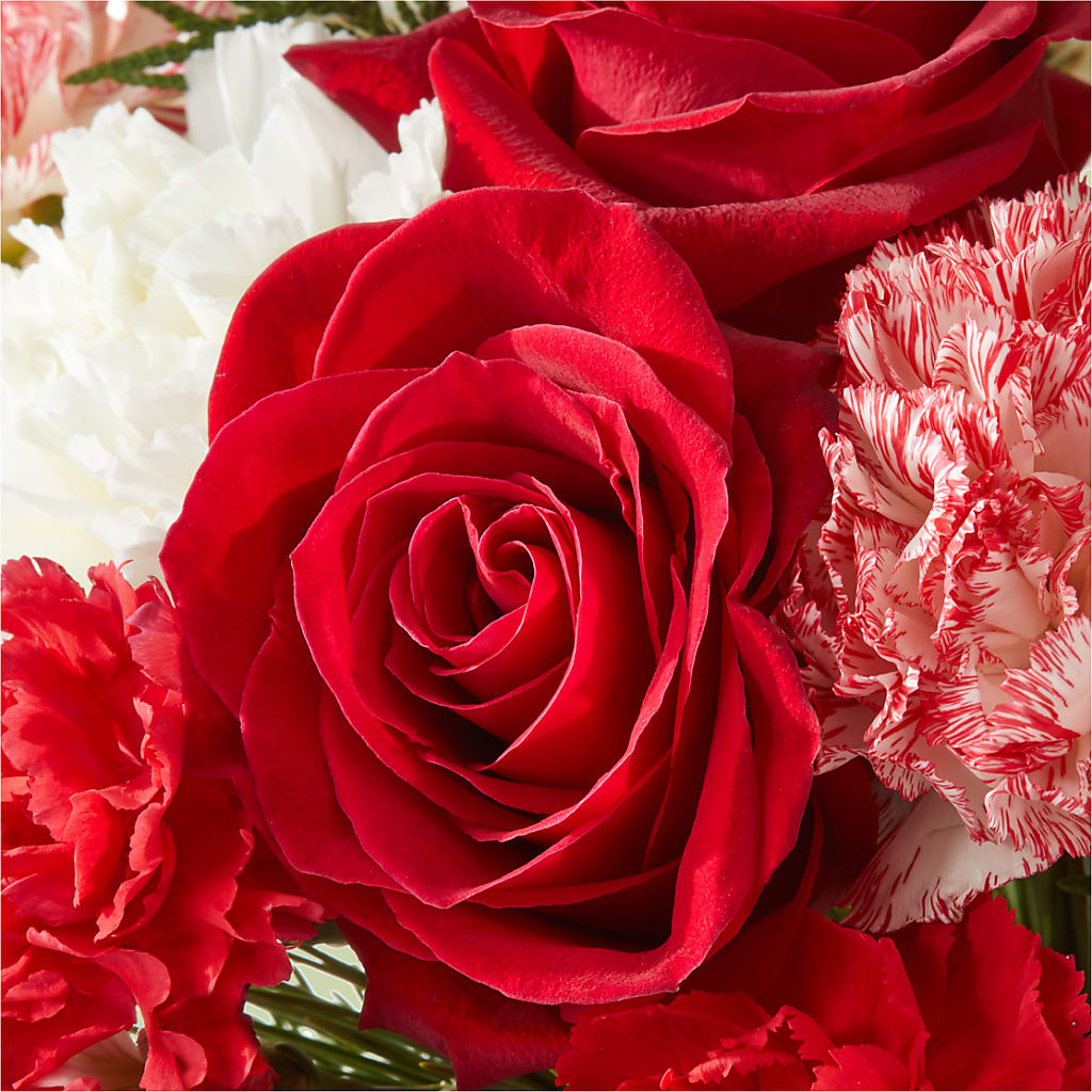 Candy Cane Lane Bouquet – NEIL'S FLOWERS AND GREENHOUSES, Kingston ON