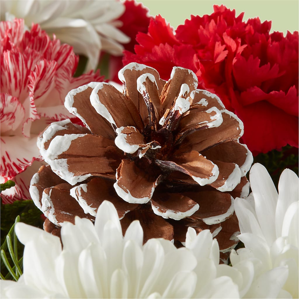 Candy Cane Lane Bouquet – NEIL'S FLOWERS AND GREENHOUSES, Kingston ON