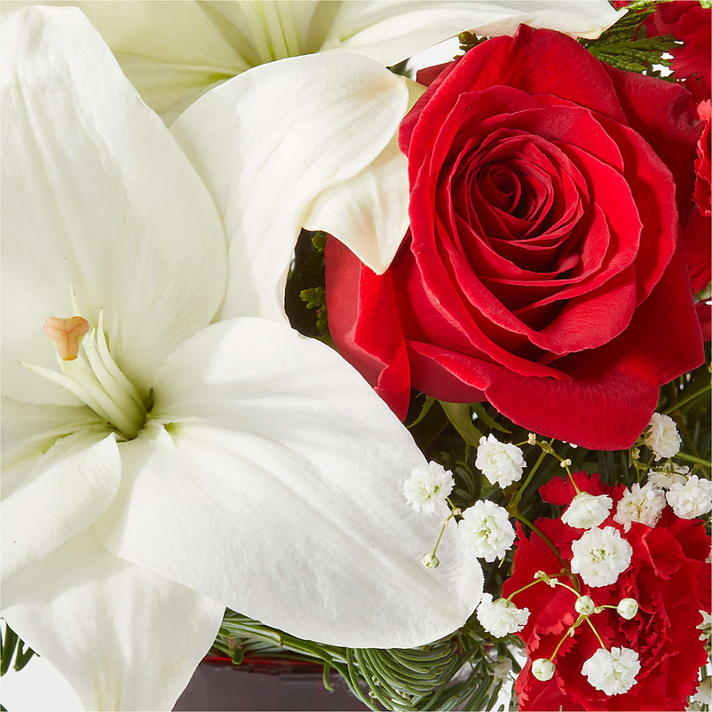 Holiday Season Bouquet – NEIL'S FLOWERS AND GREENHOUSES, Kingston ON