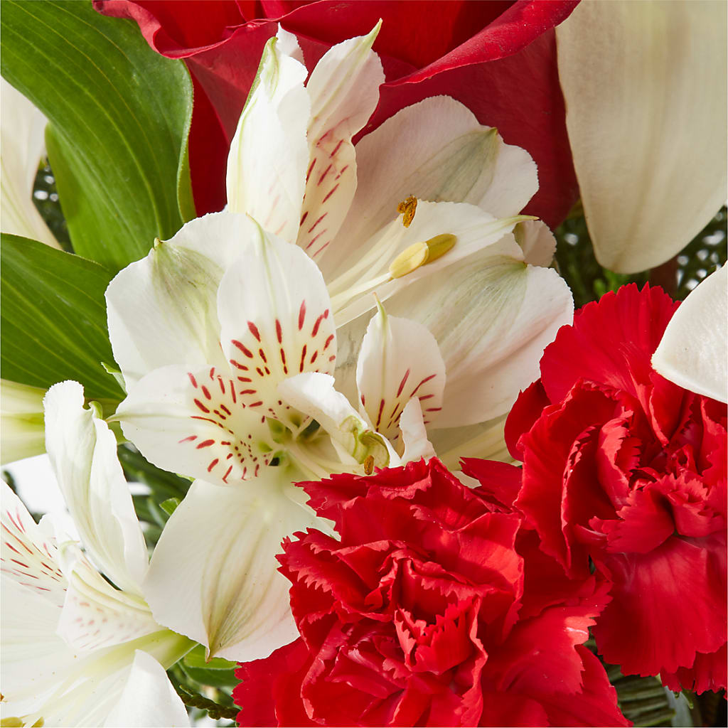 Holiday Season Bouquet – NEIL'S FLOWERS AND GREENHOUSES, Kingston ON