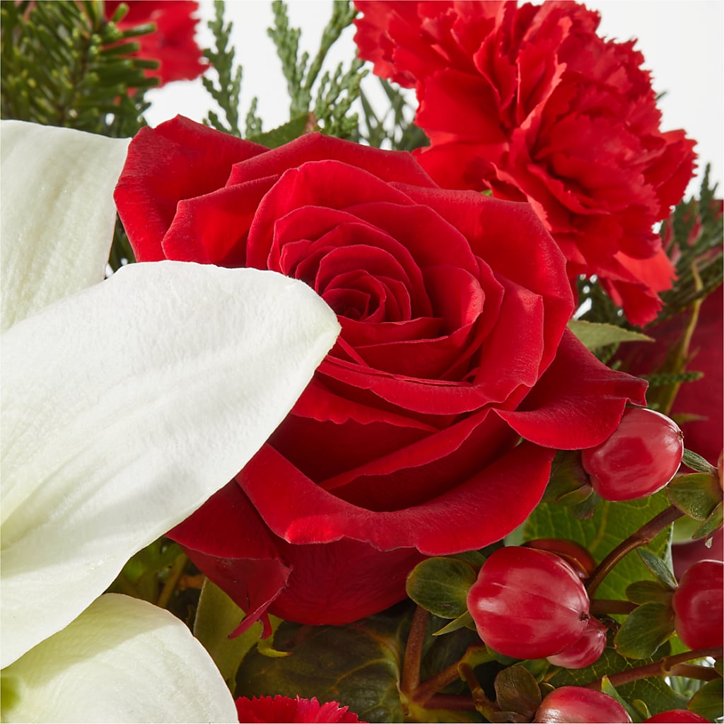 Oh So Jolly Bouquet – NEIL'S FLOWERS AND GREENHOUSES, Kingston ON
