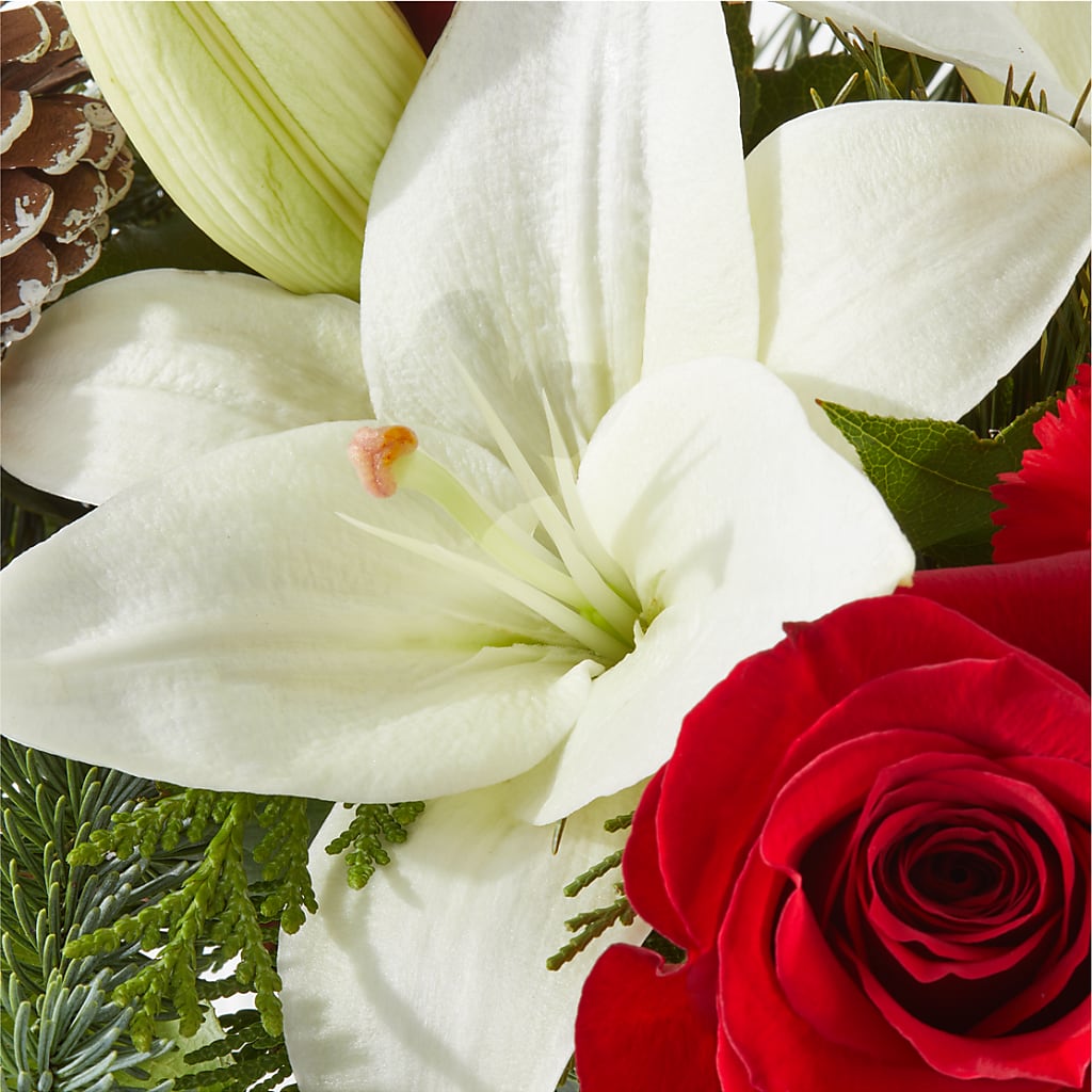 Oh So Jolly Bouquet – NEIL'S FLOWERS AND GREENHOUSES, Kingston ON