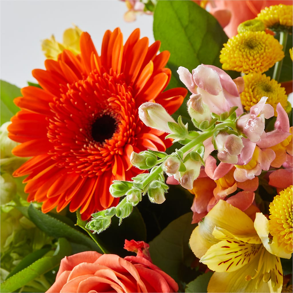 Autumn Sunshine Bouquet – NEIL'S FLOWERS AND GREENHOUSES, Kingston ON
