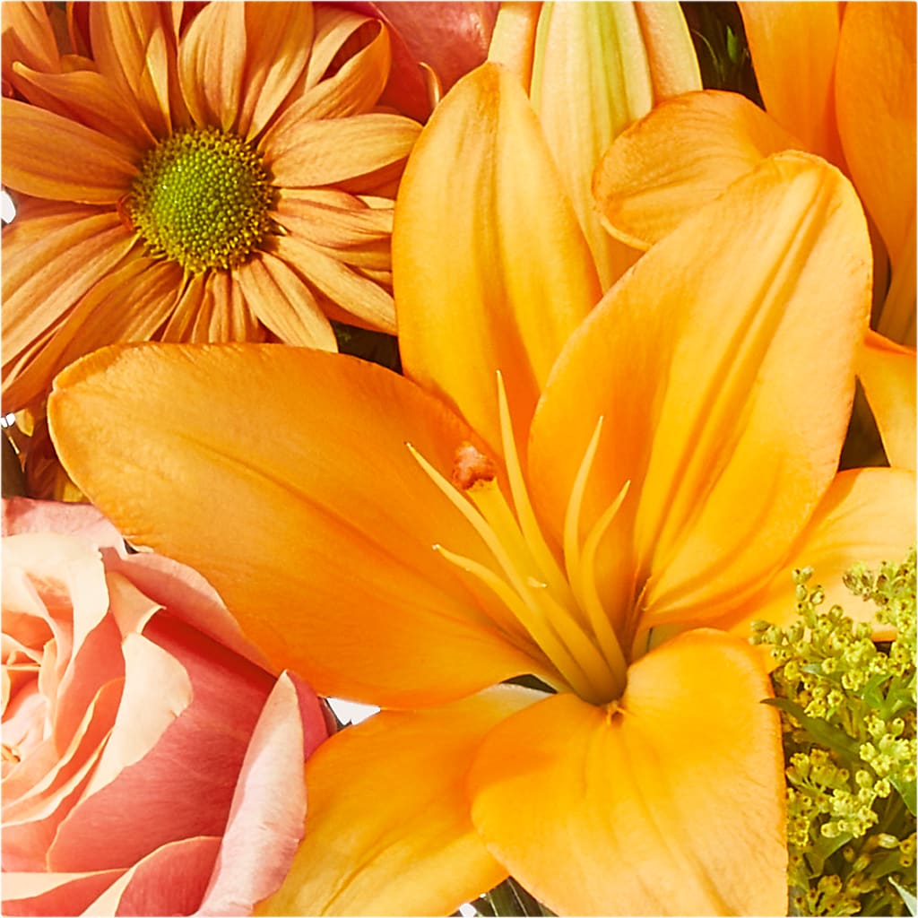 Harvest Hayride Bouquet – NEIL'S FLOWERS AND GREENHOUSES, Kingston ON