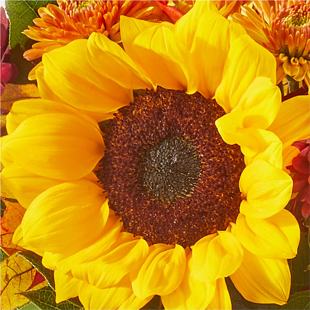 Sunny Side Bouquet – NEIL'S FLOWERS AND GREENHOUSES, Kingston ON