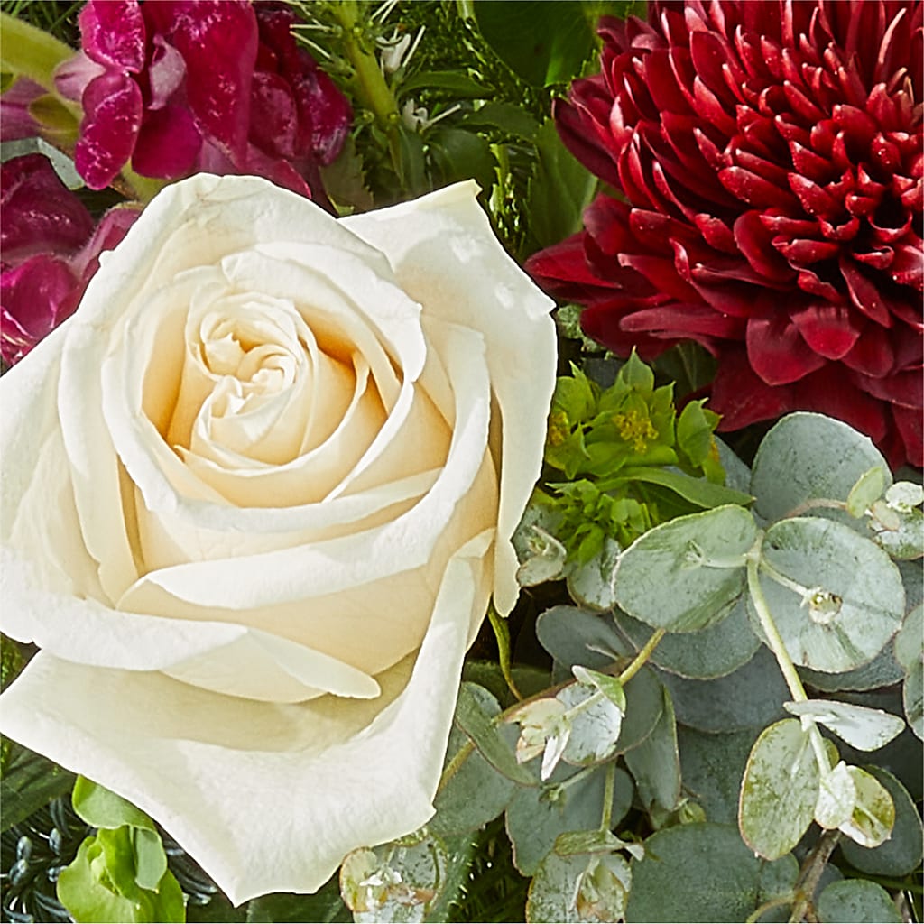 Cranberry Fizz Bouquet – NEIL'S FLOWERS AND GREENHOUSES, Kingston ON