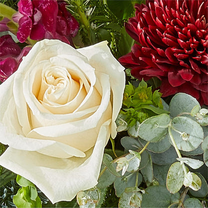 Cranberry Fizz Bouquet – NEIL'S FLOWERS AND GREENHOUSES, Kingston ON