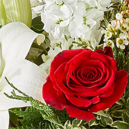 Twinkle Lights Bouquet – NEIL'S FLOWERS AND GREENHOUSES, Kingston ON