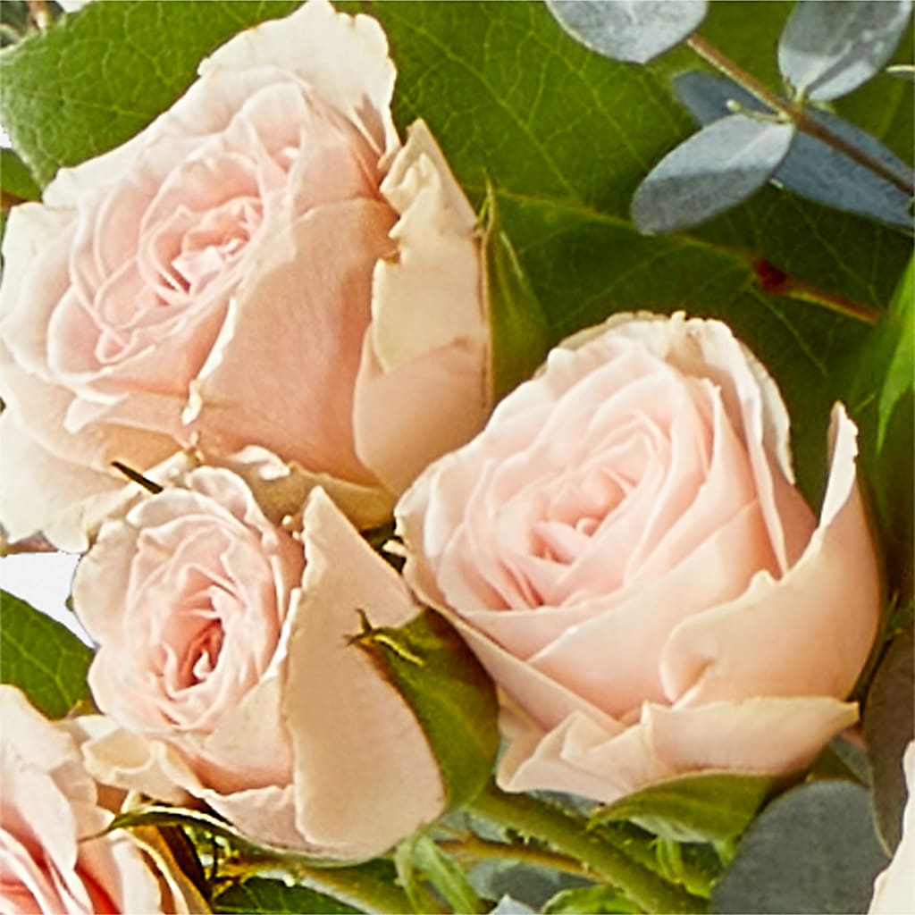 Inspired Bouquet – NEIL'S FLOWERS AND GREENHOUSES, Kingston ON
