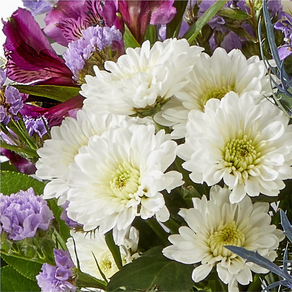 Shooting Star Bouquet – NEIL'S FLOWERS AND GREENHOUSES, Kingston ON