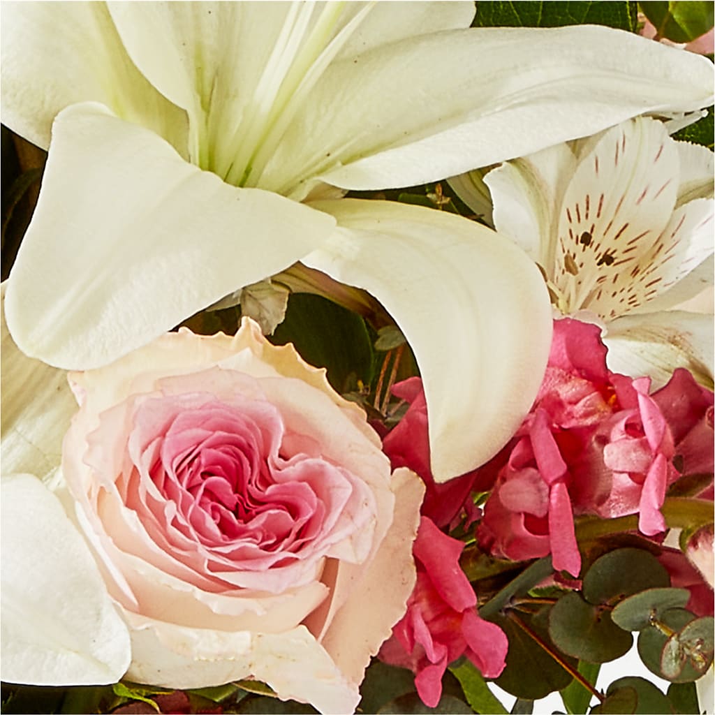 Ballet Slippers Bouquet – NEIL'S FLOWERS AND GREENHOUSES, Kingston ON
