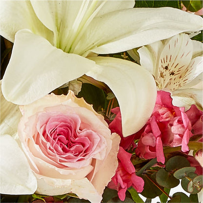 Ballet Slippers Bouquet – NEIL'S FLOWERS AND GREENHOUSES, Kingston ON