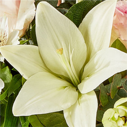 Ballet Slippers Bouquet – NEIL'S FLOWERS AND GREENHOUSES, Kingston ON