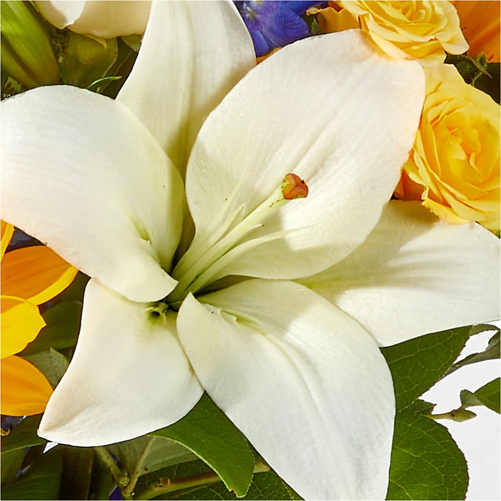 Wonderfully Sunny Bouquet – NEIL'S FLOWERS AND GREENHOUSES, Kingston ON