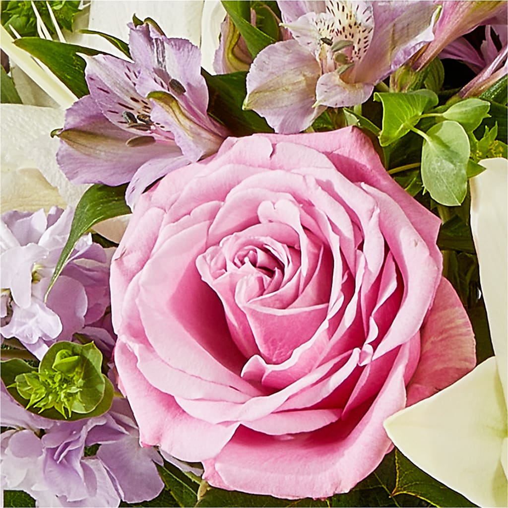Daydreamer Bouquet – NEIL'S FLOWERS AND GREENHOUSES, Kingston ON