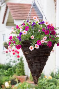 Combination of Flowers in Hanging Cones