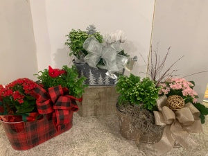 Christmas Dish Garden